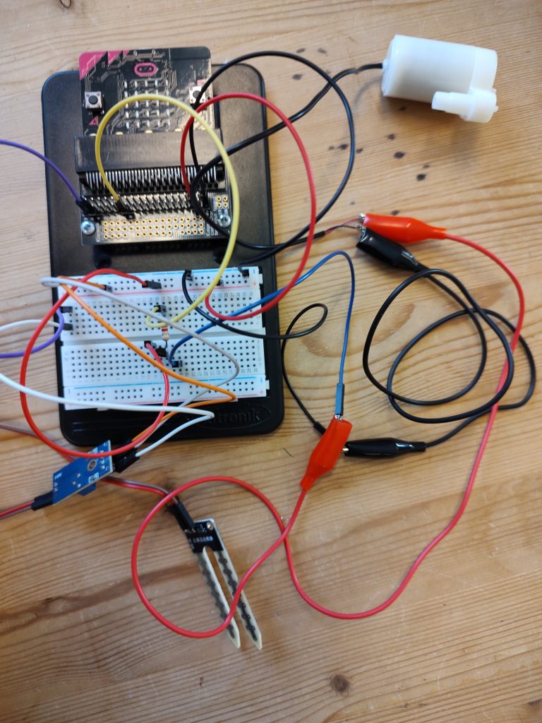 Hvordan det egentlig ser ut